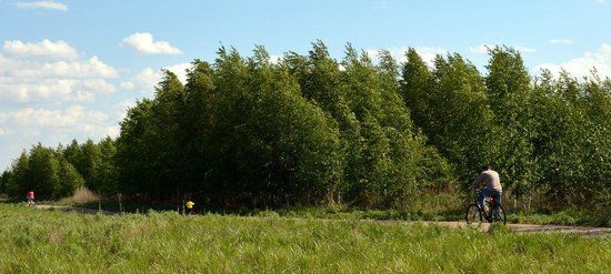 Korgalzhyn State Nature Reserve